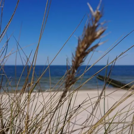 Duneshellter アパート ロゴボ