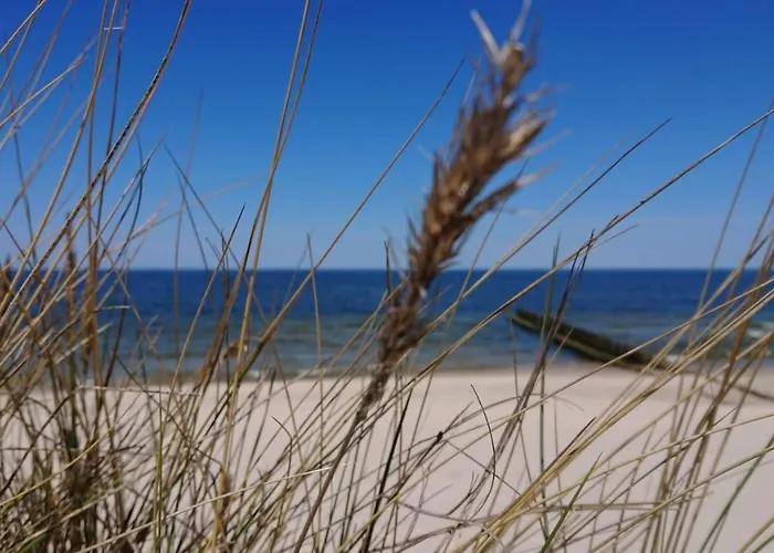 Duneshellter Apartament Rogowo (Gryfice)