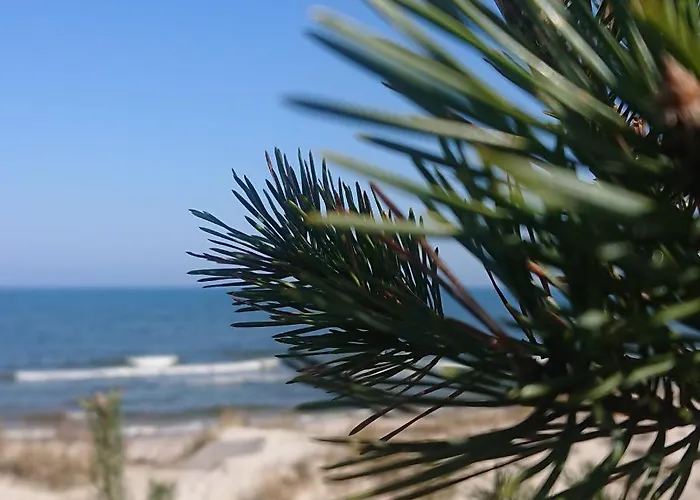 Duneshellter Apartament *